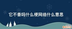它不香吗什么梗网络什么意思