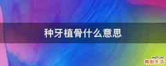 种牙植骨什么意思