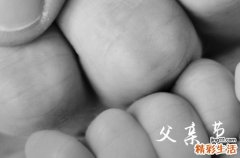父亲节给爸爸发多少红包好 2023父亲节红包吉利数字大全