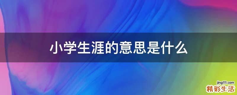 小学生涯的意思是什么
