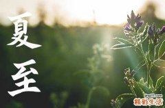 夏至发给顾客的问候语 夏至发给顾客的祝福语