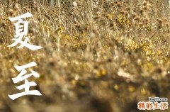 夏至发朋友圈的精美句子 夏至发朋友圈文案