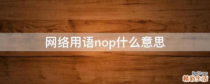 网络用语nop什么意思