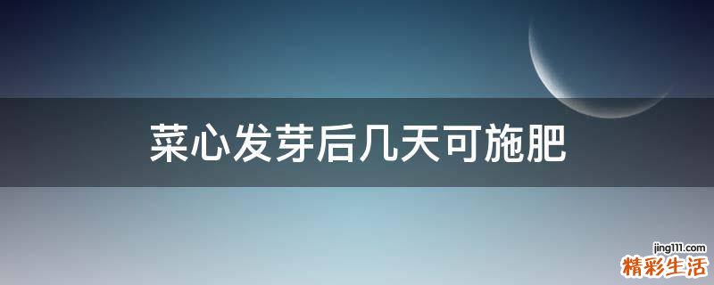 菜心发芽后几天可施肥