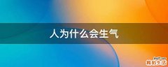 人为什么会生气