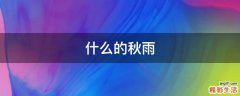 什么的秋雨