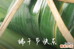 2023年端午节出生的宝宝好吗 2023端午节几点出生最好
