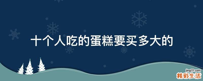 十个人吃的蛋糕要买多大的