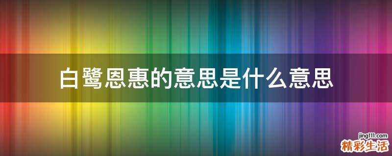 白鹭恩惠的意思是什么意思