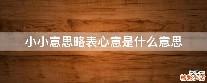 小小意思略表心意是什么意思