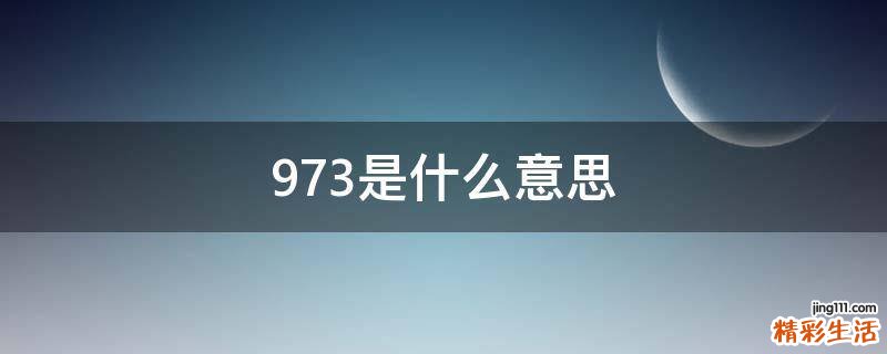 973是什么意思