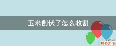玉米倒伏了怎么收割