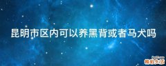 昆明市区内可以养黑背或者马犬吗