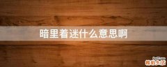 暗里着迷什么意思啊