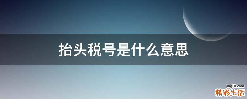 抬头税号是什么意思