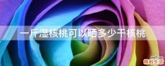 一斤湿核桃可以晒多少干核桃