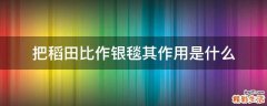 把稻田比作银毯其作用是什么