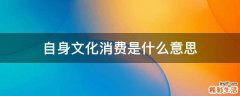 自身文化消费是什么意思