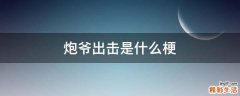 炮爷出击是什么梗