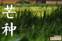 2023年芒种是哪一天