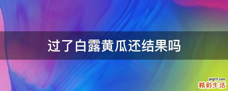 过了白露黄瓜还结果吗