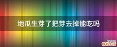 地瓜生芽了把芽去掉能吃吗