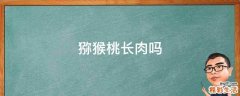 猕猴桃长肉吗