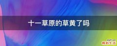十一草原的草黄了吗