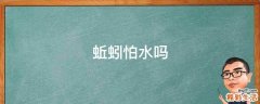 蚯蚓怕水吗