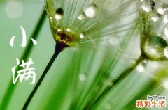 小满下雨是什么预兆