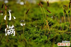 小满下雨有什么说法