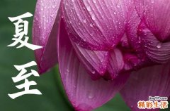二十四节气夏至简介 夏至养生怎么办
