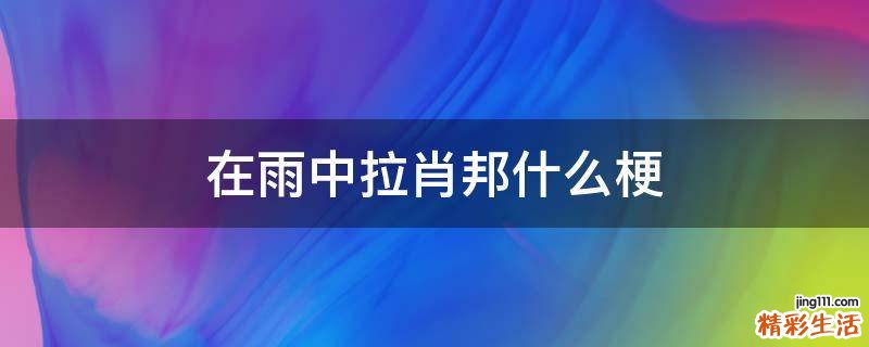 在雨中拉肖邦什么梗
