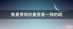 焦麦芽和炒麦芽是一样的吗