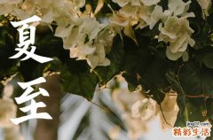 2023年6月21日是什么节气 6月21日是夏至节气