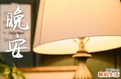 100天发给女朋友不一样的晚安句子