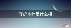 守护木叶是什么梗