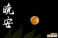 安静美好的晚安句子简短