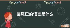 猫尾巴的语言是什么