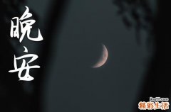 令人着迷的晚安句子
