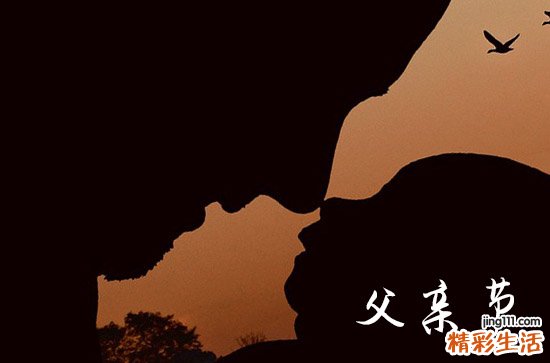 120句 父亲节祝福语简短唯美