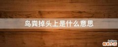鸟粪掉头上是什么意思