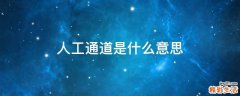 人工通道是什么意思