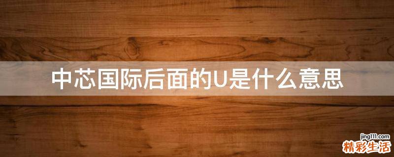中芯国际后面的U是什么意思