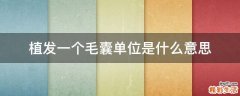 植发一个毛囊单位是什么意思