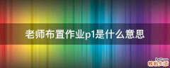 老师布置作业p1是什么意思