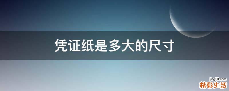 凭证纸是多大的尺寸