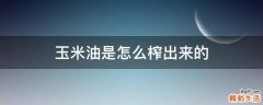玉米油是怎么榨出来的