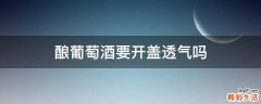 酿葡萄酒要开盖透气吗