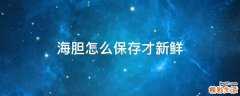 海胆怎么保存才新鲜